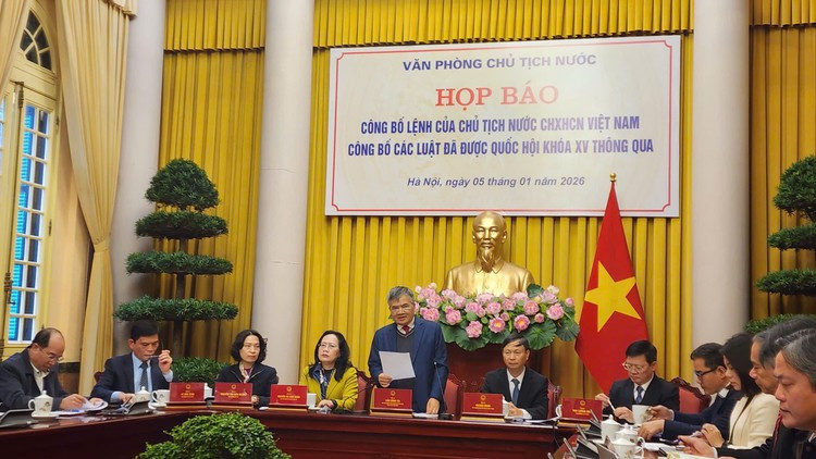 hop-bao-2.jpg