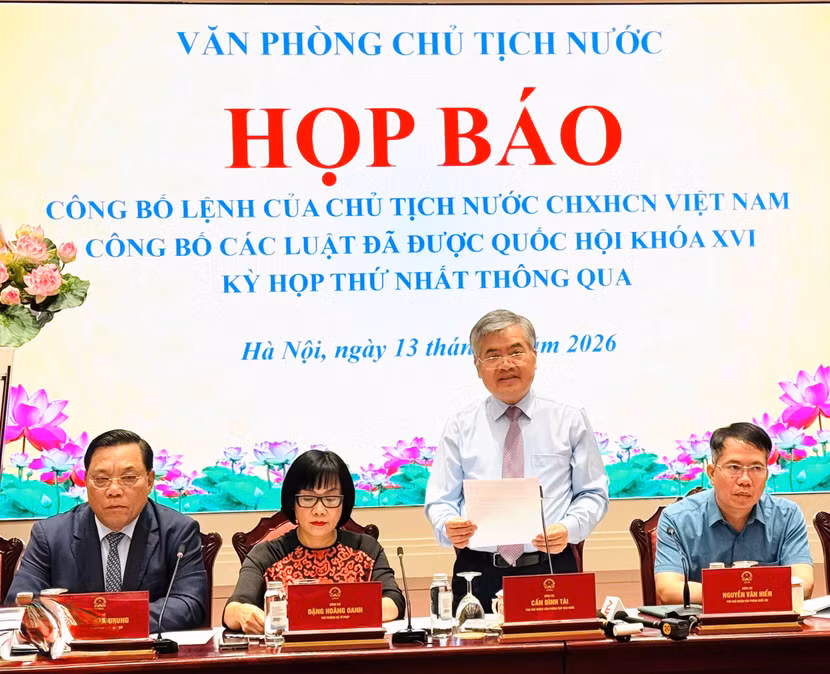 can-dinh-tai.jpg