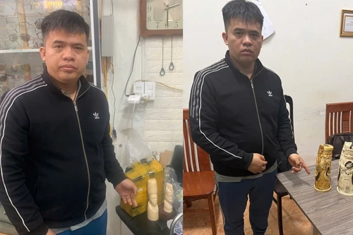 Phát hiện, thu giữ 4 tượng ngà voi châu Phi vận chuyển từ Hải Phòng về Hà Nội tiêu thụ