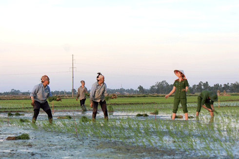 Lực lượng Công an xã chính quy đã phát huy vai trò nòng cốt, cùng chính quyền, nhân dân địa phương đảm bảo an ninh trật tự, phát triển kinh tế - xã hội (Trong ảnh: Công an xã Phù Lưu, Ứng Hòa, Hà Nội giúp dân)