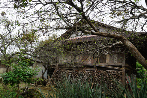 Những nóc nhà ở Bản Hon, xã Bản Hon, huyện Tam Đường, nơi bắt đầu triển khai du lịch cộng đồng