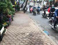 Tuyên truyền nhắc nhở hộ kinh doanh không lấn chiếm vỉa hè, phố hoa cây cảnh trên đường Hoàng Hoa Thám