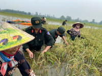 Công an Hà Nội giúp dân ổn định cuộc sống sau mưa lũ 