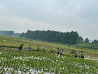 Công an Hà Nội giúp dân ổn định cuộc sống sau mưa lũ 