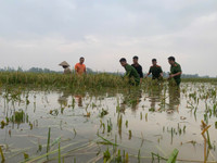 Công an Hà Nội giúp dân ổn định cuộc sống sau mưa lũ 