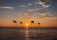 Tân Á Đại Thành trong hành trình tâm huyết kiến tạo khu đô thị sống hiện đại, đẳng cấp tại Phú Quốc