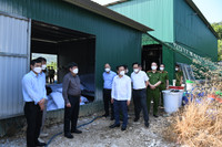 Chân dung kẻ cầm đầu 