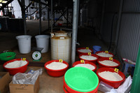 Chân dung kẻ cầm đầu 