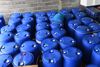 Độc tố cực mạnh từ chất thải của công xưởng ma túy tại Khánh Hòa khiến cây cối chết khô