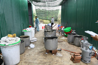 Độc tố cực mạnh từ chất thải của công xưởng ma túy tại Khánh Hòa khiến cây cối chết khô