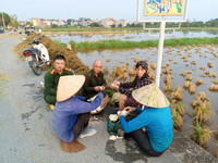 Công an các huyện ngoại thành huy động lực lượng 
