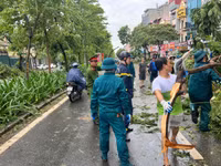 Huy động các lực lượng làm thông trưa khắc phục hậu quả do bão số 3 gây ra