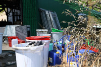 Độc tố cực mạnh từ chất thải của công xưởng ma túy tại Khánh Hòa khiến cây cối chết khô