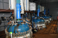 Độc tố cực mạnh từ chất thải của công xưởng ma túy tại Khánh Hòa khiến cây cối chết khô