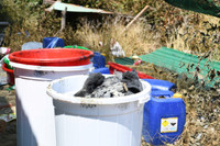 Độc tố cực mạnh từ chất thải của công xưởng ma túy tại Khánh Hòa khiến cây cối chết khô