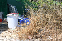 Độc tố cực mạnh từ chất thải của công xưởng ma túy tại Khánh Hòa khiến cây cối chết khô