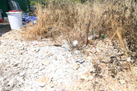 Độc tố cực mạnh từ chất thải của công xưởng ma túy tại Khánh Hòa khiến cây cối chết khô