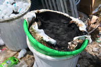 Độc tố cực mạnh từ chất thải của công xưởng ma túy tại Khánh Hòa khiến cây cối chết khô