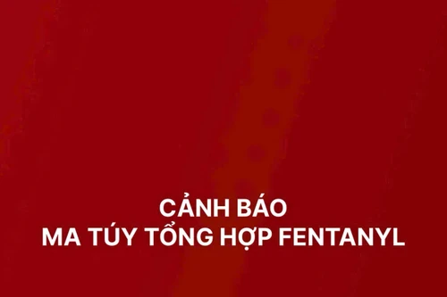 Ma túy tổng hợp Fentanyl gây tình trạng nghiện nặng và tử vong hàng loạt 