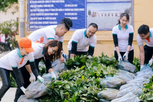 Tết An Bình 2026 tiếp nối hành trình Xanh An Bình – Xanh Việt Nam tại Nghệ An 