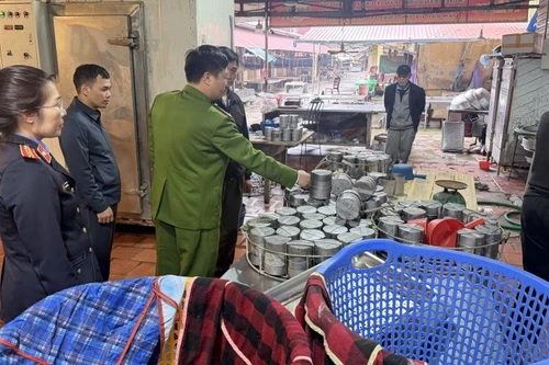 Sử dụng chất cấm trong chế biến thực phẩm, 2 mẹ con bị khởi tố