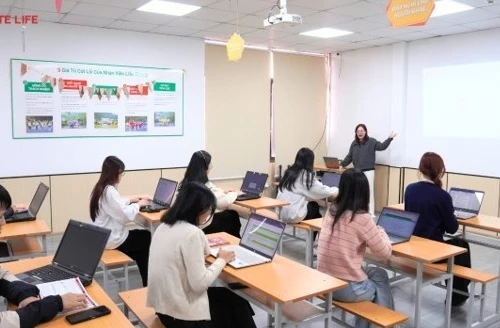 PTE LIFE: Trung tâm luyện thi chứng chỉ PTE 30 uy tín