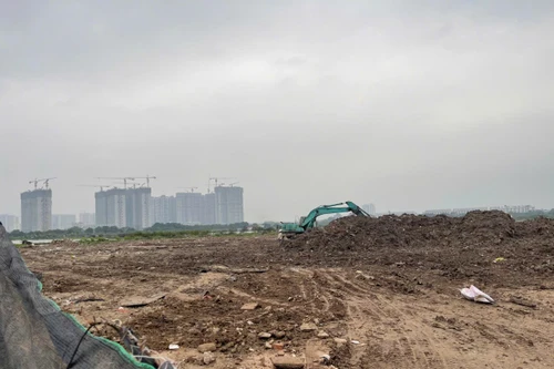 Xử phạt 80 triệu đồng đối với cá nhân có hành vi hủy hoại đất