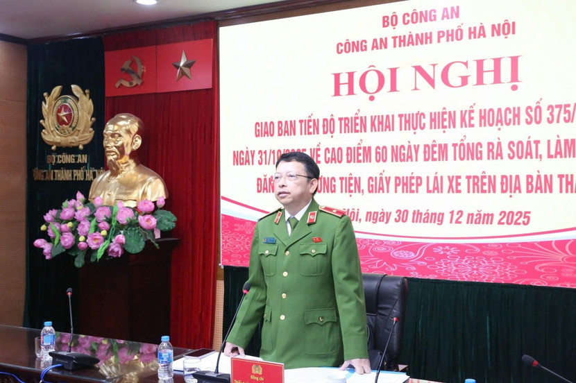 Tập trung cao điểm, tăng tốc làm sạch dữ liệu đăng ký phương tiện, giấy phép lái xe ảnh 6