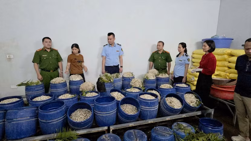 Cơ sở sản xuất giá đỗ của Phạm Thị Quỳnh.