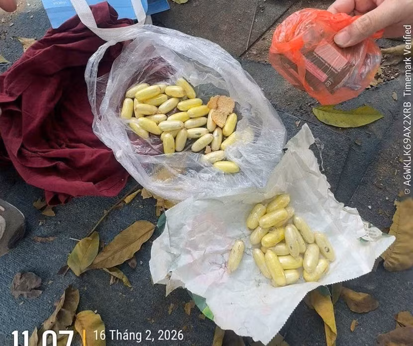 Các tang vật bị thu giữ