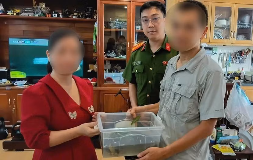 Đại diện gia đình bàn giao 2 cá thể rùa