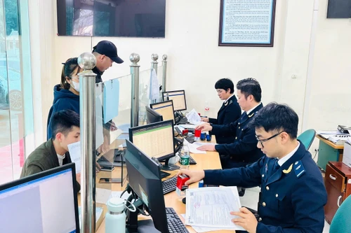 Hải quan có quyền dừng thông quan nếu nghi ngờ hàng giả