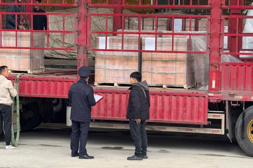 Hải quan phát hiện, xử lý 15 vụ việc vi phạm trong dịp Tết Nguyên đán