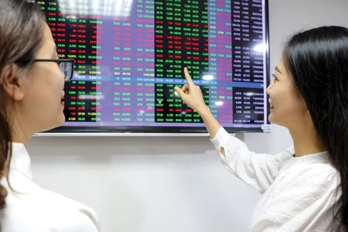 Tranh mua cổ phiếu dầu khí, đạm, cảng biển trong phiên chứng khoán đỏ rực