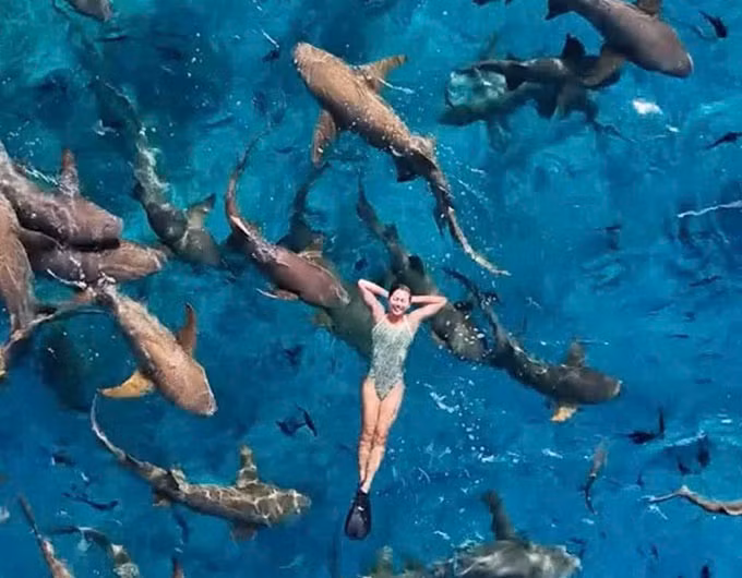 Ánh Viên bơi cùng cá mập ở Maldives