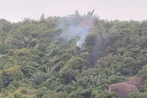 Đắk Lắk: Máy bay quân sự rơi trên núi, phi công nhảy dù an toàn