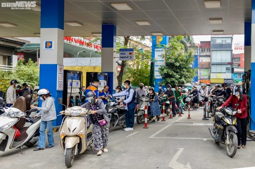 Hà Nội sẽ xử lý nghiêm các trường hợp găm hàng xăng dầu, dừng bán không có lý do