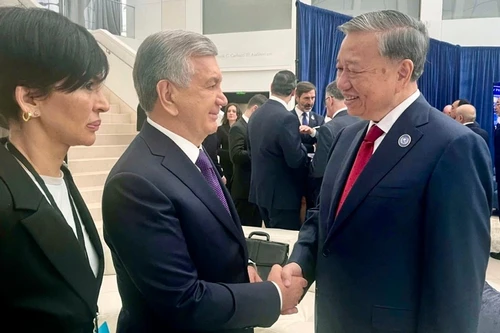 Tổng Bí thư gặp lãnh đạo các nước nhân dịp dự cuộc họp Hội đồng Hòa bình về Gaza