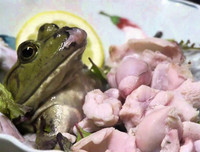 [ẢNH] Rợn người với 9 món ăn 