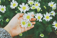 [ẢNH] 20-10 sắp tới, những món quà bất ngờ dành cho phái đẹp