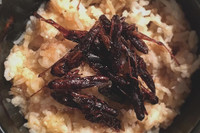 [ẢNH] Những món ăn kỳ lạ có 