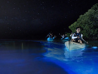 [ẢNH] Vẻ đẹp huyền diệu của những bãi biển tự phát sáng trong đêm