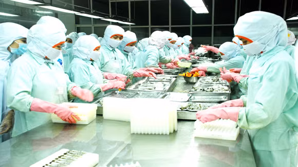 Trước mắt cần mở rộng thị trường tiêu thụ để giảm lượng hàng tồn kho