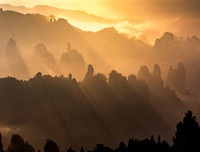 Cảnh tuyệt đẹp ở Trương Gia Giới khiến nhiều người muốn xách vali lên và đi ngay lập tức