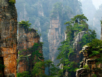 Cảnh tuyệt đẹp ở Trương Gia Giới khiến nhiều người muốn xách vali lên và đi ngay lập tức