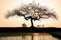 Ngắm những bức ảnh cực đẹp tại Triển lãm 