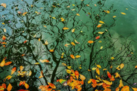 Ngắm những bức ảnh cực đẹp tại Triển lãm 