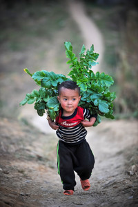 Ngắm những bức ảnh cực đẹp tại Triển lãm 