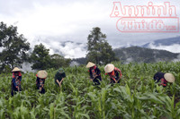 Chuyện về cuộc hồi sinh những tộc người 