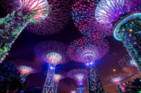 Ngắm những bức ảnh cực đẹp tại Triển lãm 